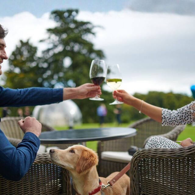 Escape for Just £99