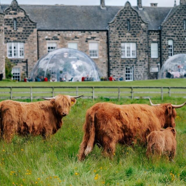 3 Nights For the Price of 2